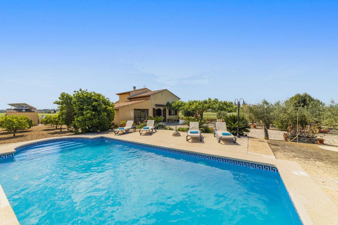 Villa Vernissa Santa Margalida Zewnętrze zdjęcie